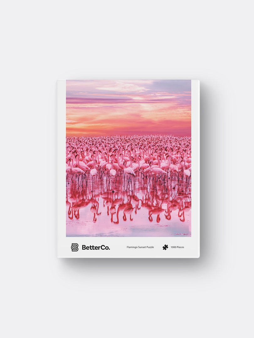 Flamingo Sunset