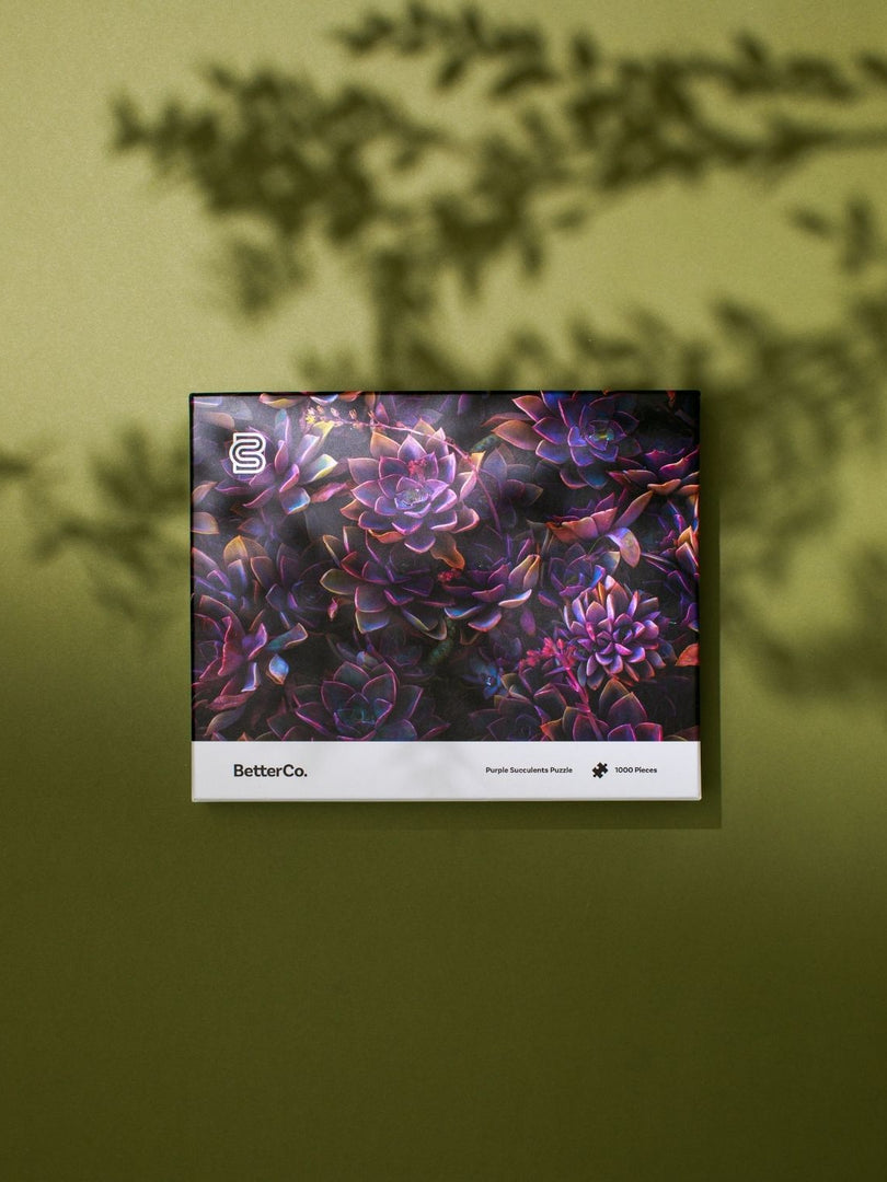 Purple Succulents