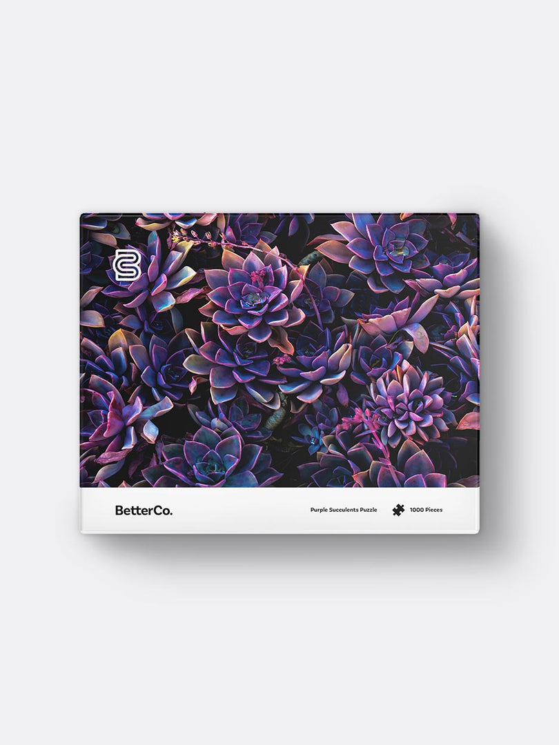 Purple Succulents