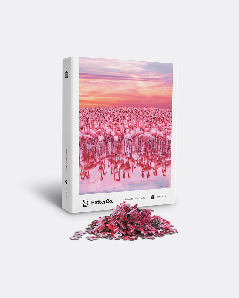 BetterCoFlamingoSunsetboxwithp