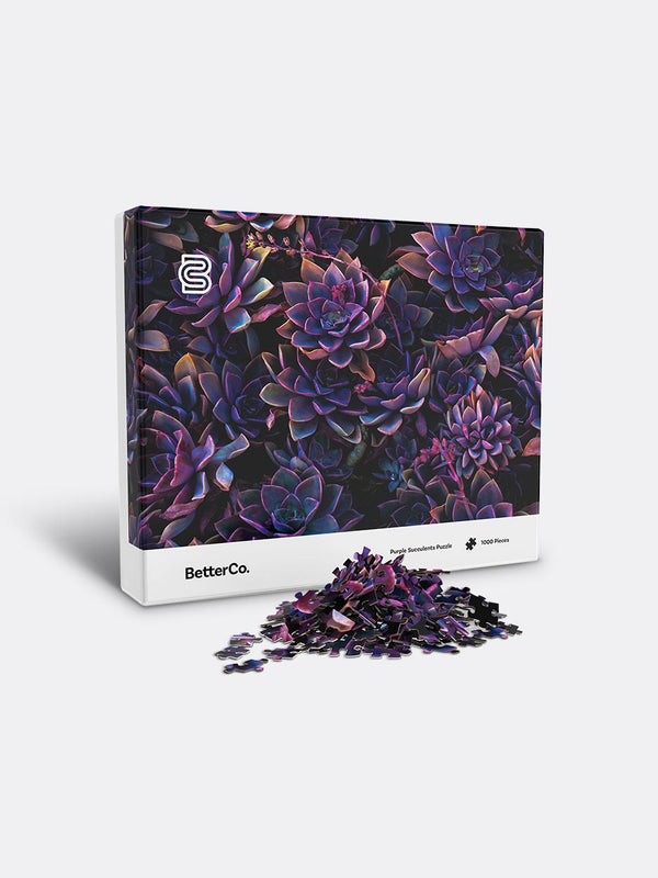 Purple Succulents